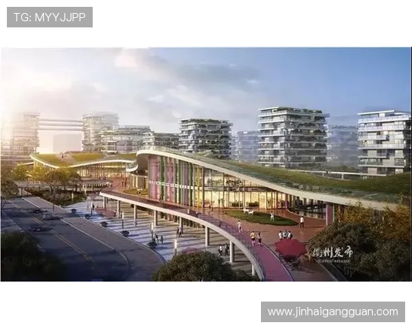 富勒姆基金会未来三年社区发展规划